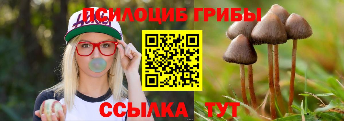 Амурск  где продают наркотики  Вход с VPN  Галлюциногенные грибы Psilocybe 
